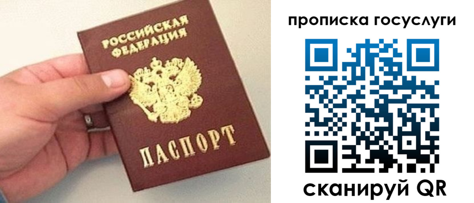 где прописаться в Бикине